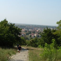 2011-08-24 02.26.52.jpg